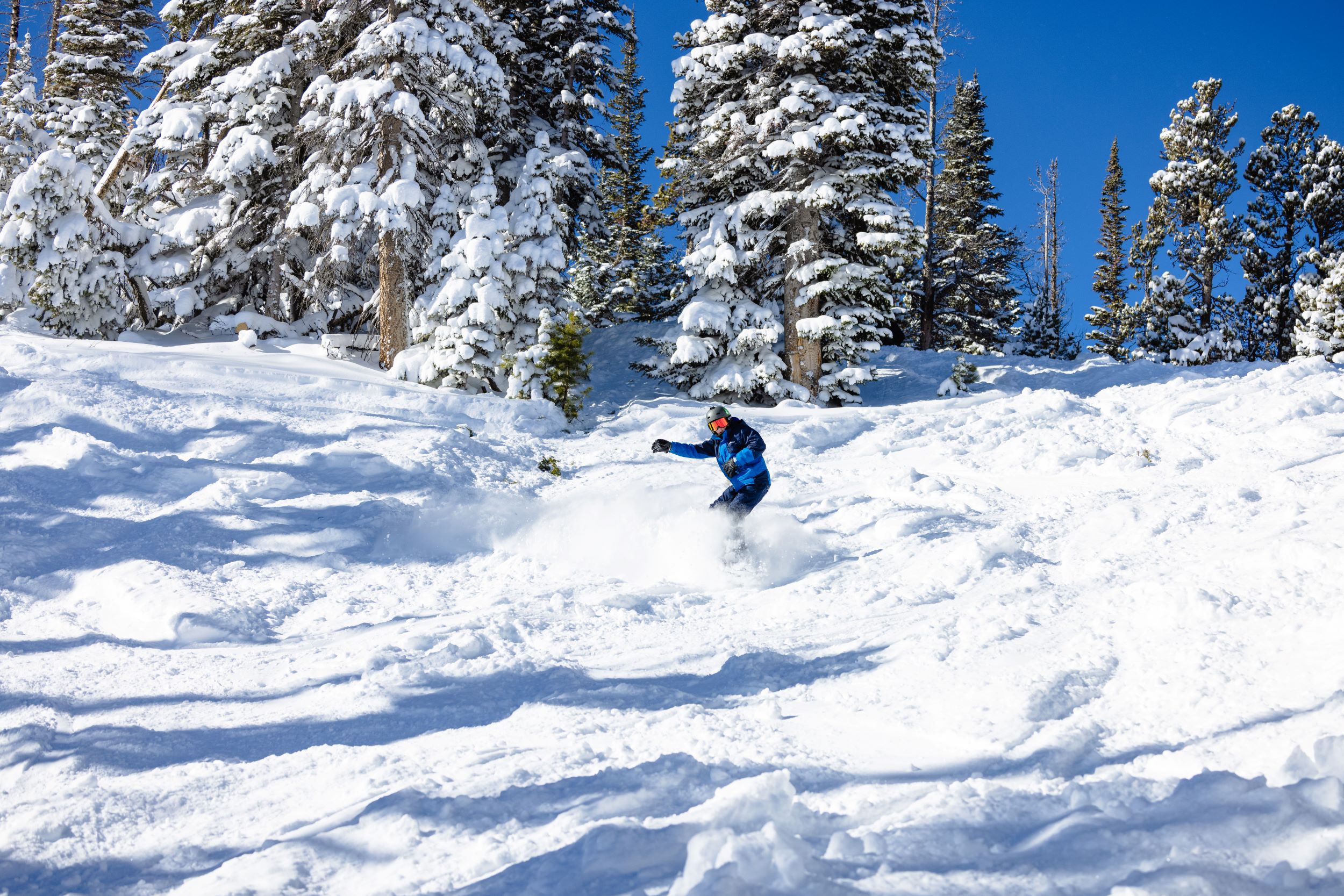 Home - Snowy Range Ski Area